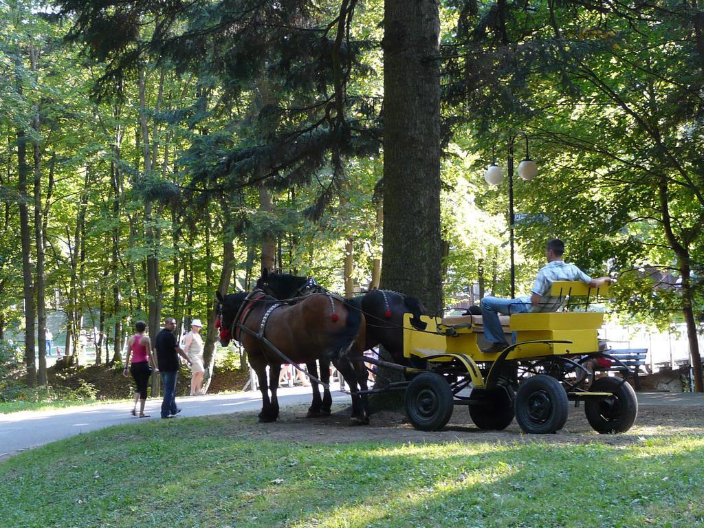 Villa Asturia Rymanów-Zdrój Bagian luar foto